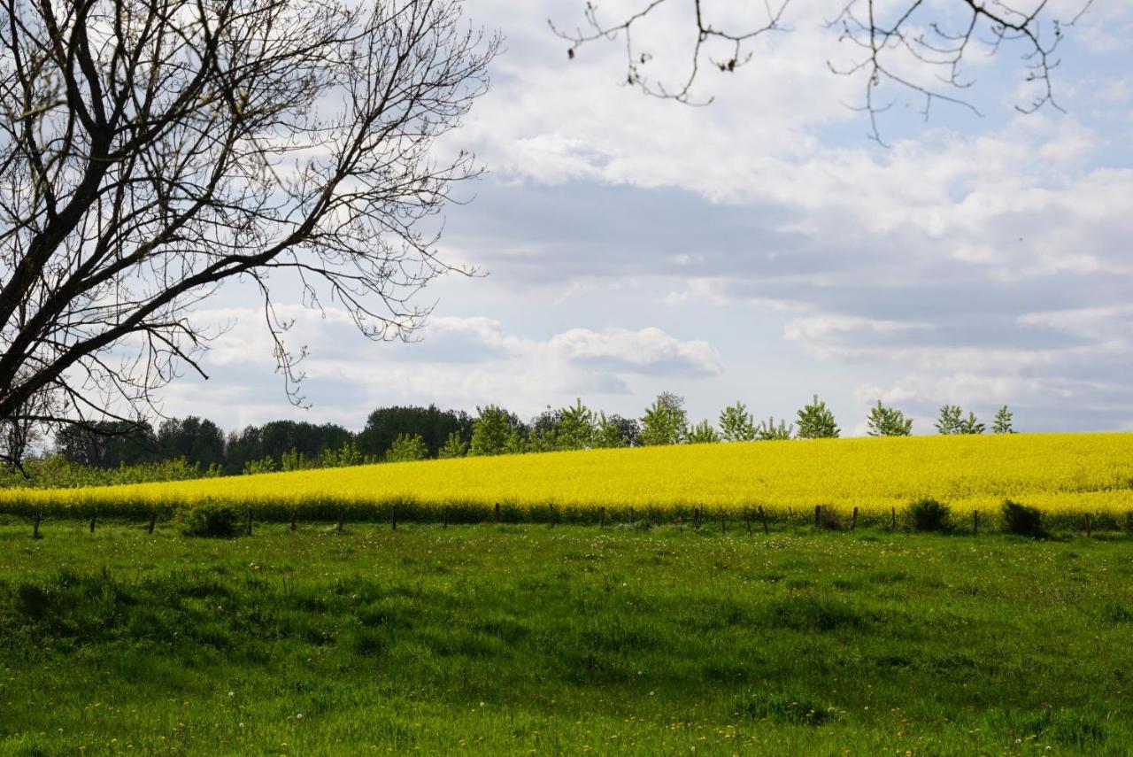 La Grange De Felicie Bed & Breakfast Charrey-sur-Saone ภายนอก รูปภาพ